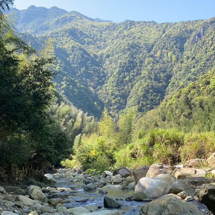 力拔 山兮