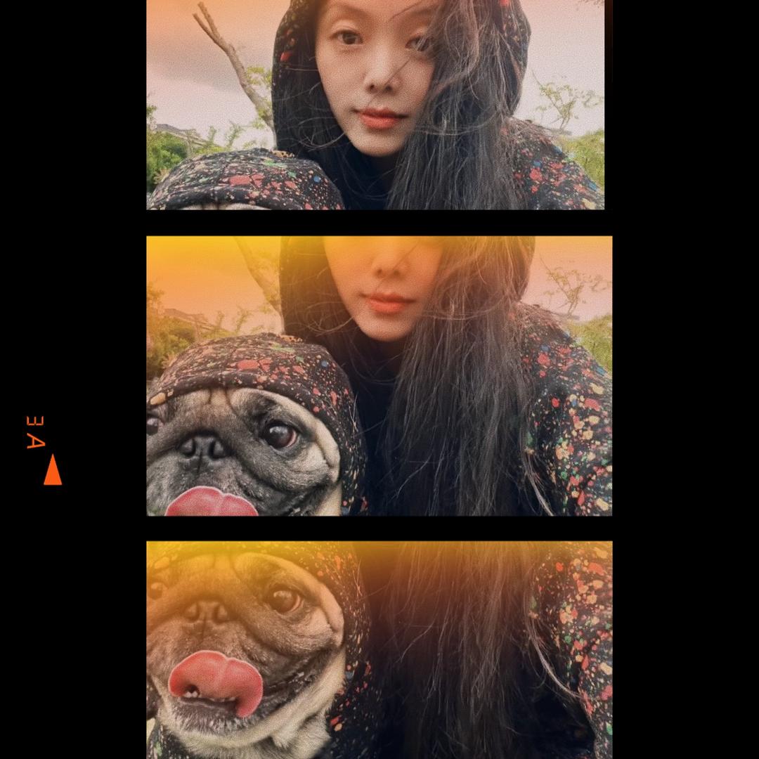 鱼儿