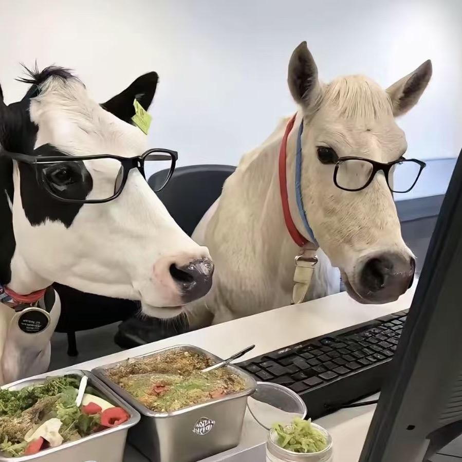 宁波小傅汽车资源-帮提车