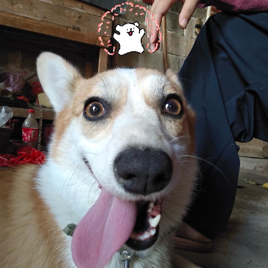 才疏刚学的学浅