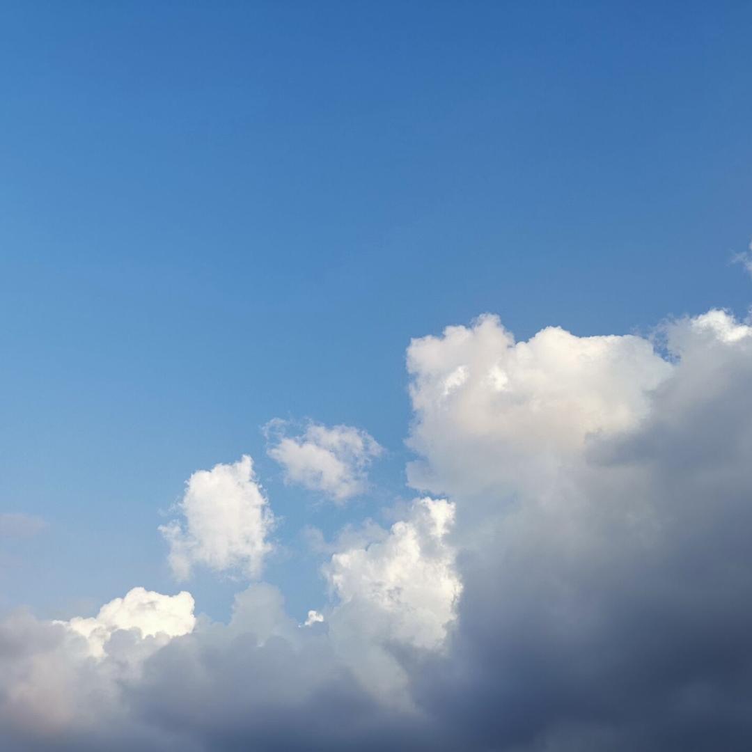 清风