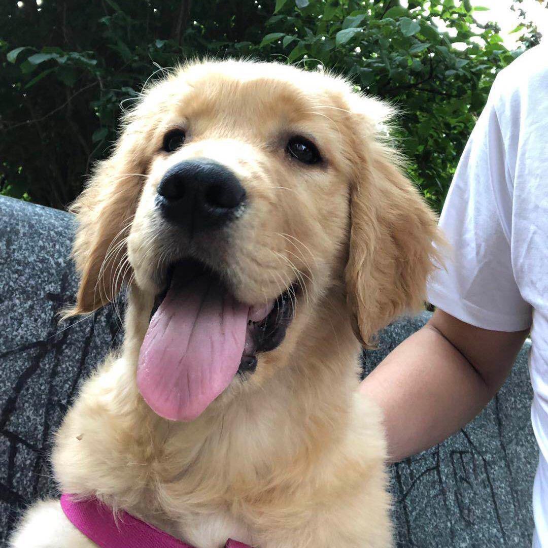 我走过的孤独很黑$$