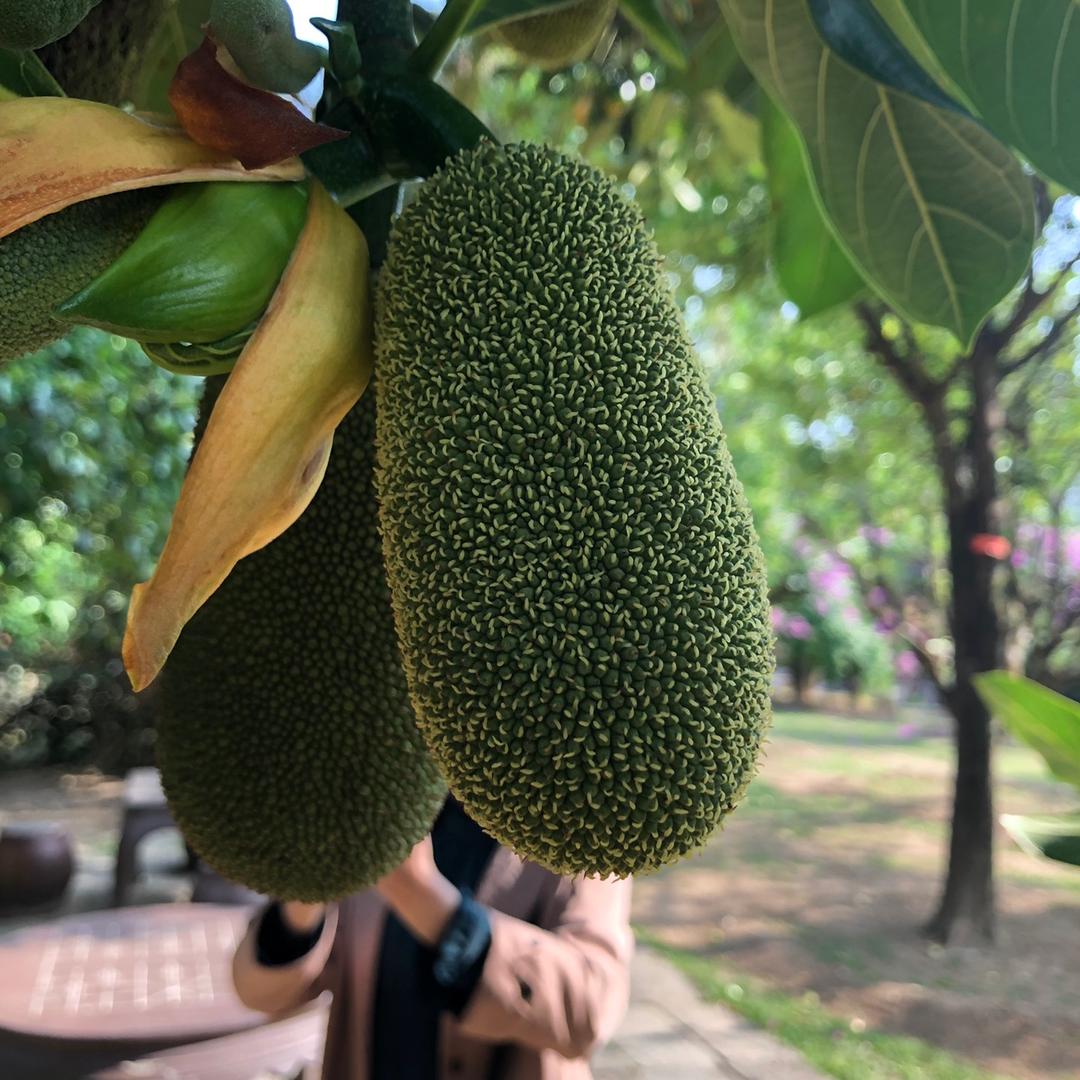 简单的微