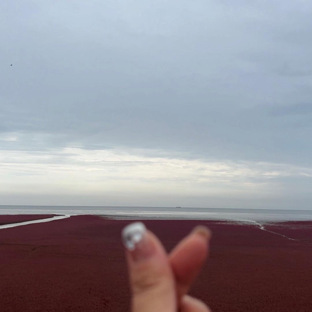 小静静🧚‍♀️