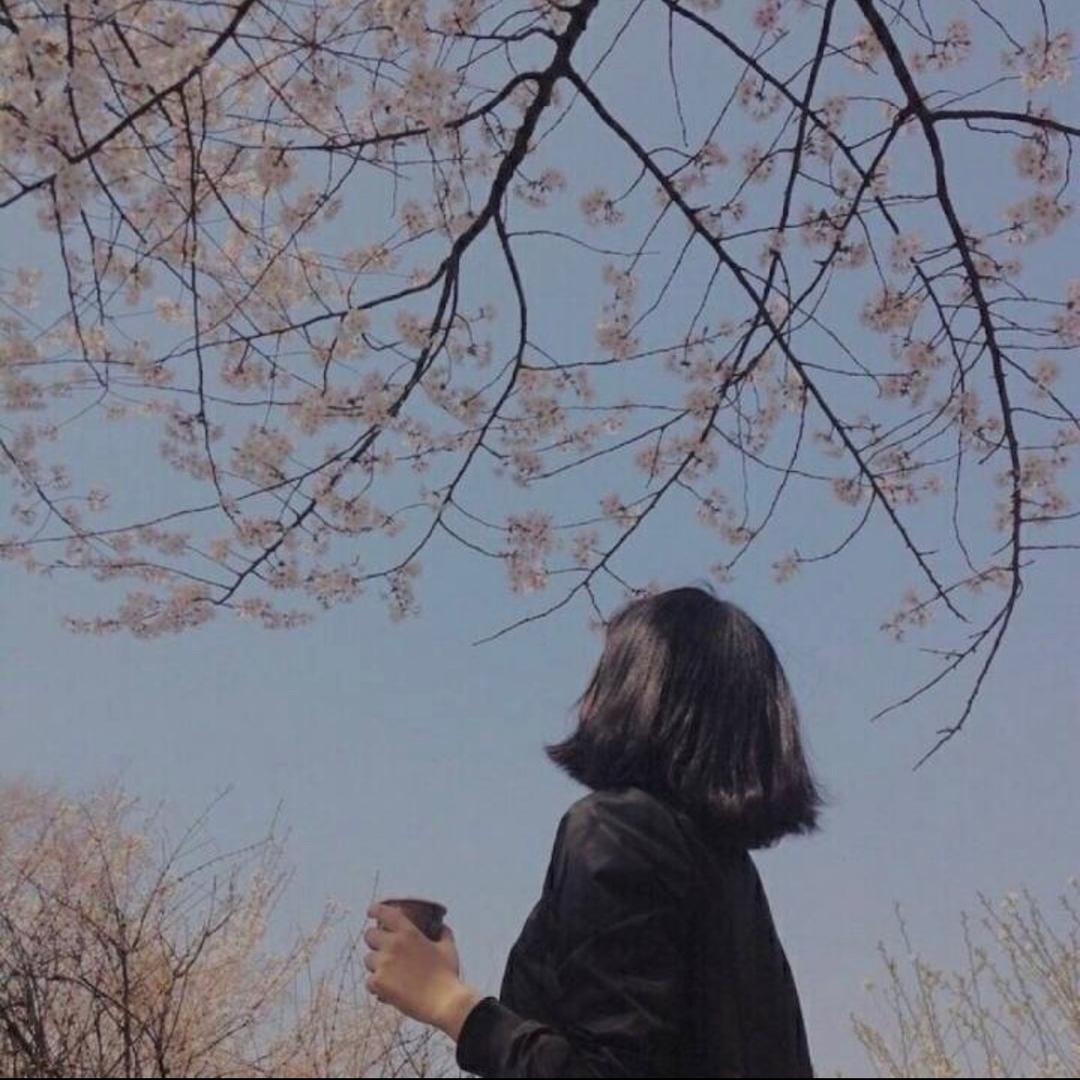 Echo手机摄影