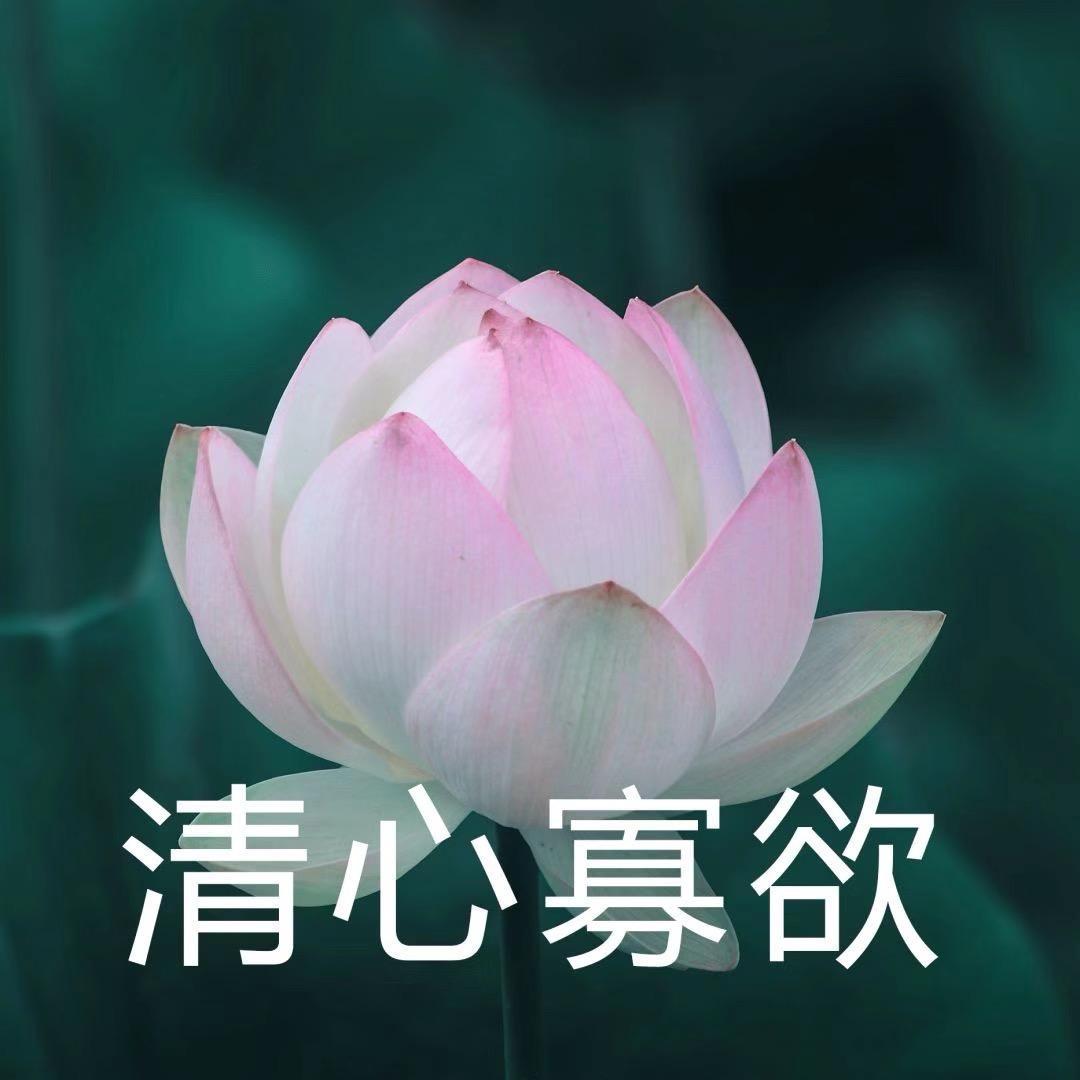 阴雨天.