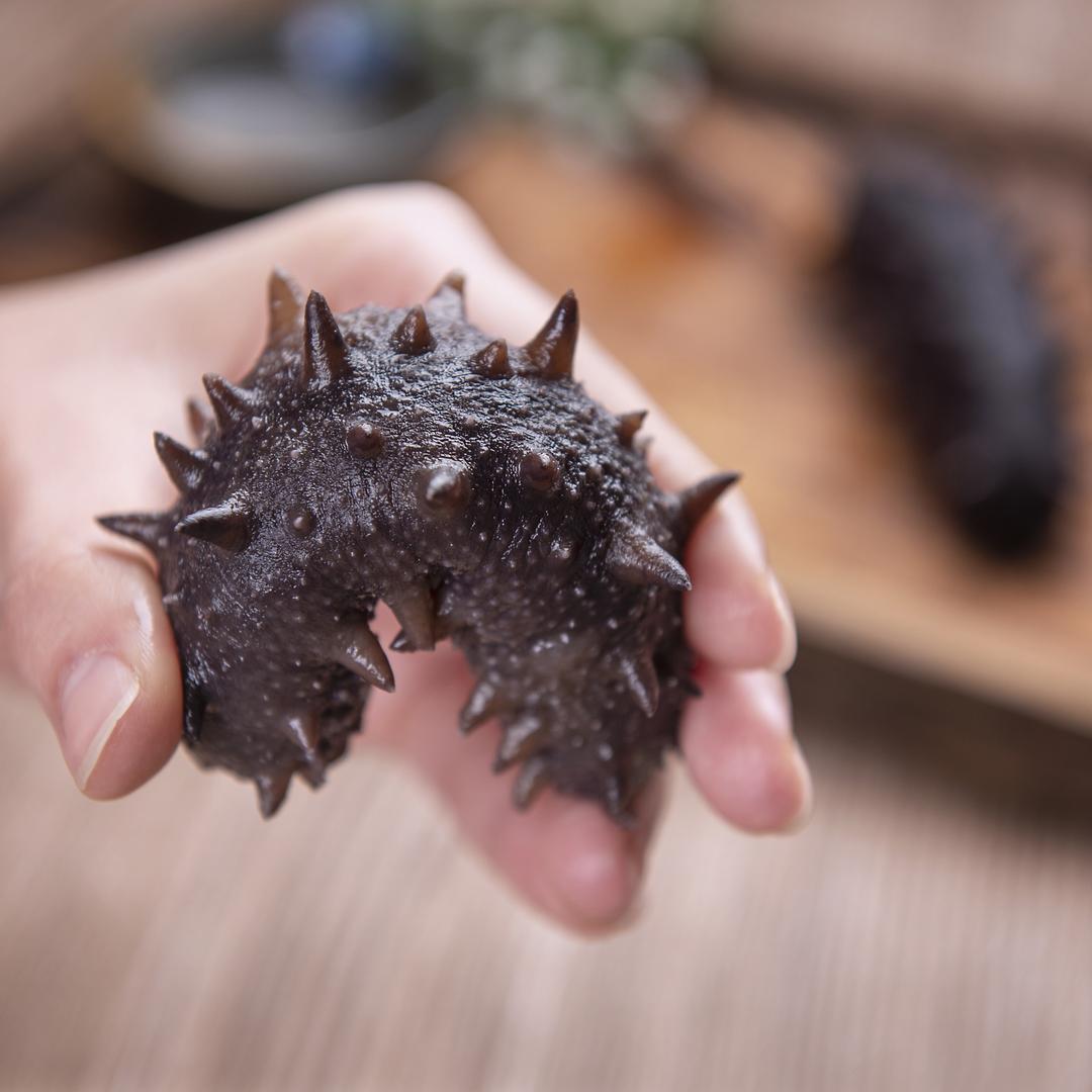 渤海湾刚哥海参