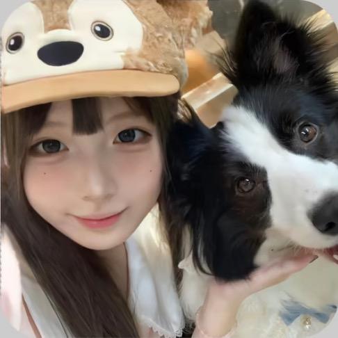 包菜菜