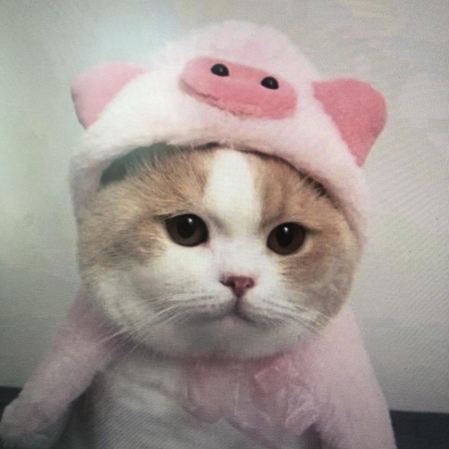 香奈奈好物集