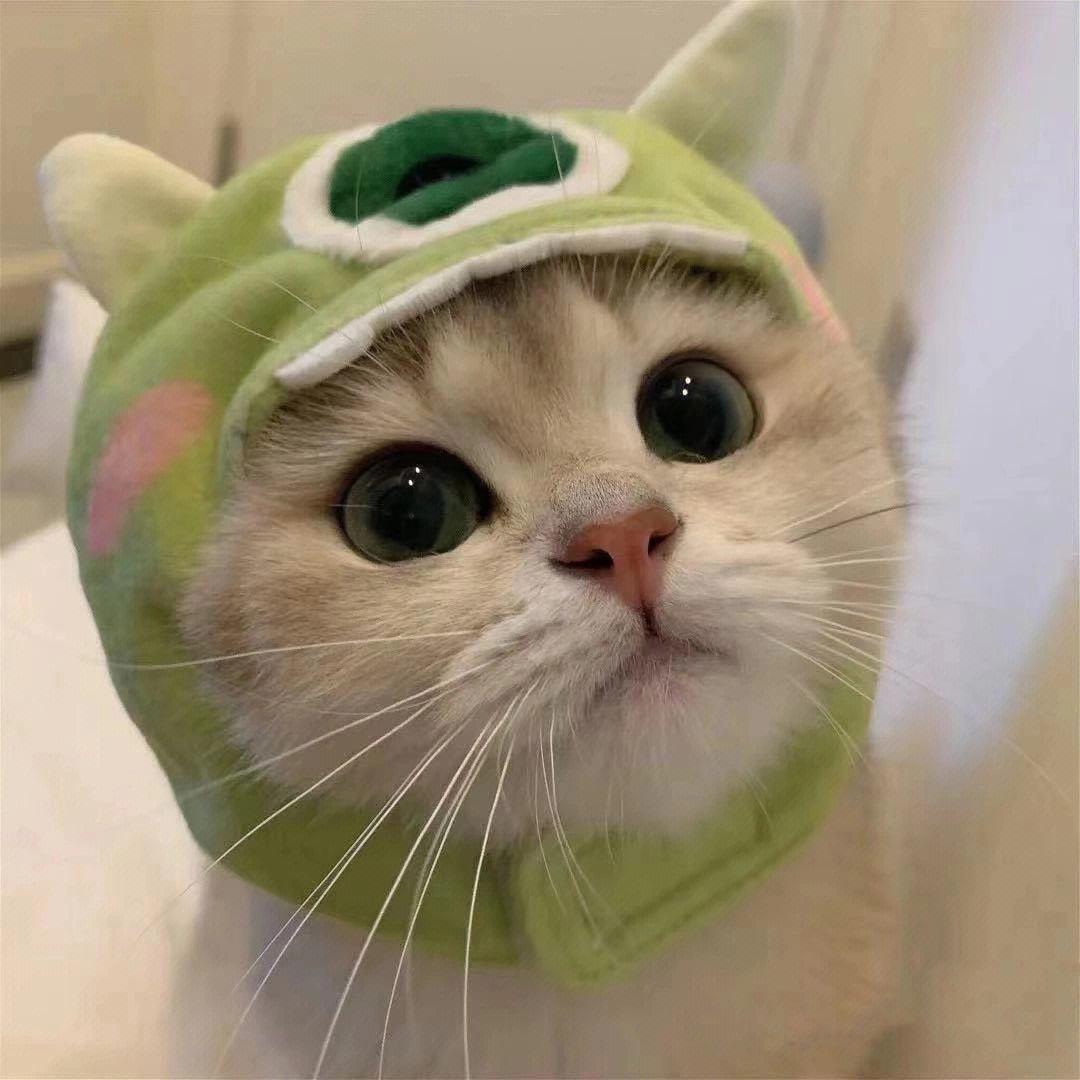 安静～