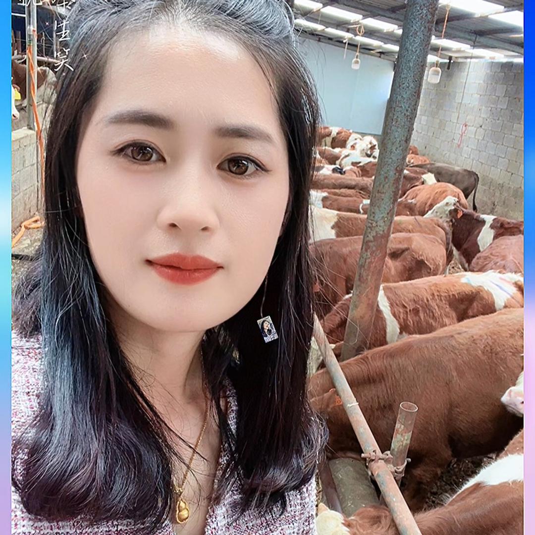 贵州牛市中介代办服务赵女士