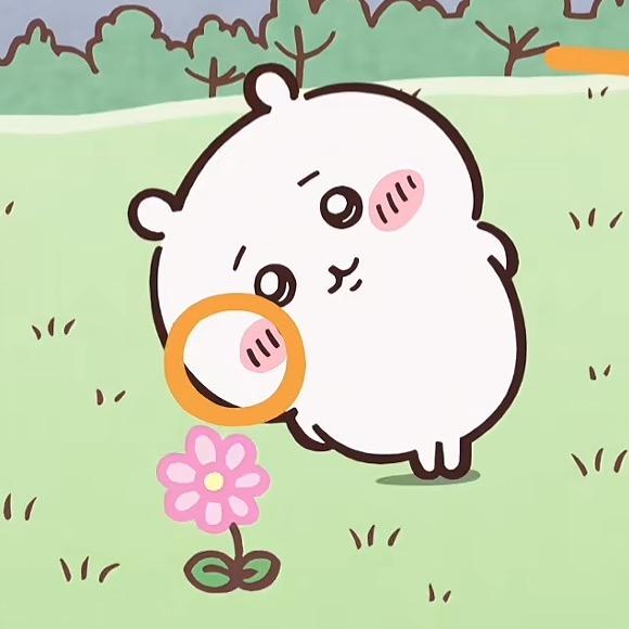哈哈哈蜜瓜🍈
