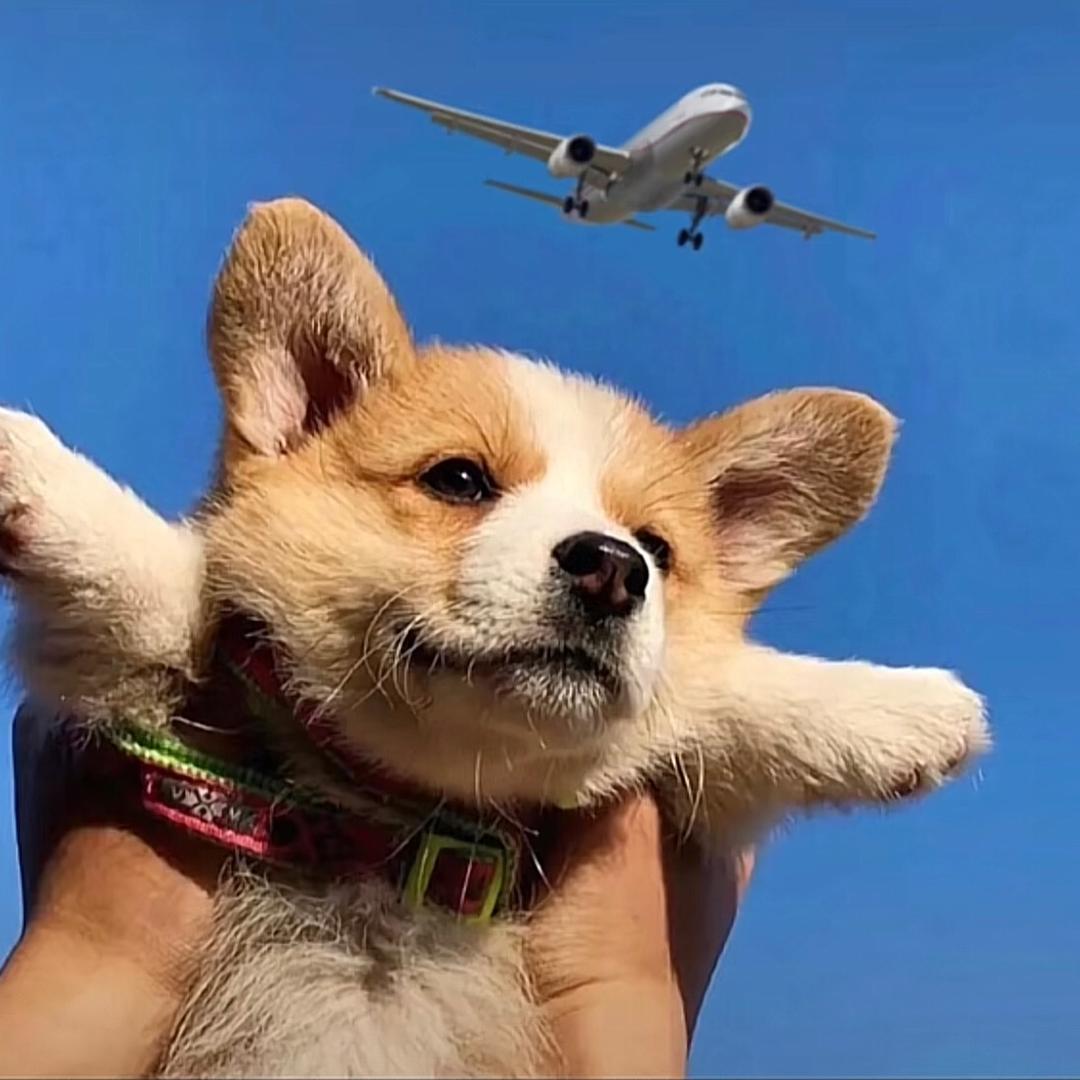 笑一笑就好了❤️