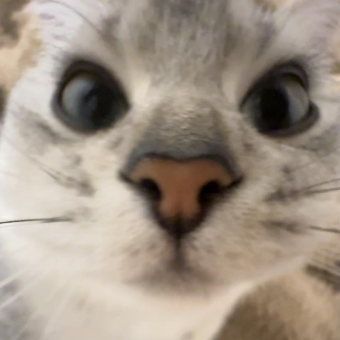 随便我都行
