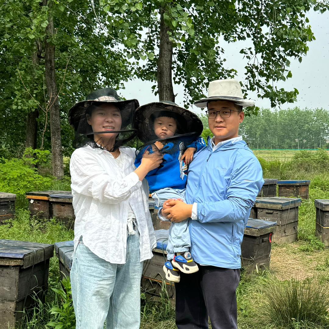 勤蜂（低产青海高原鲜蜂王浆采集中）