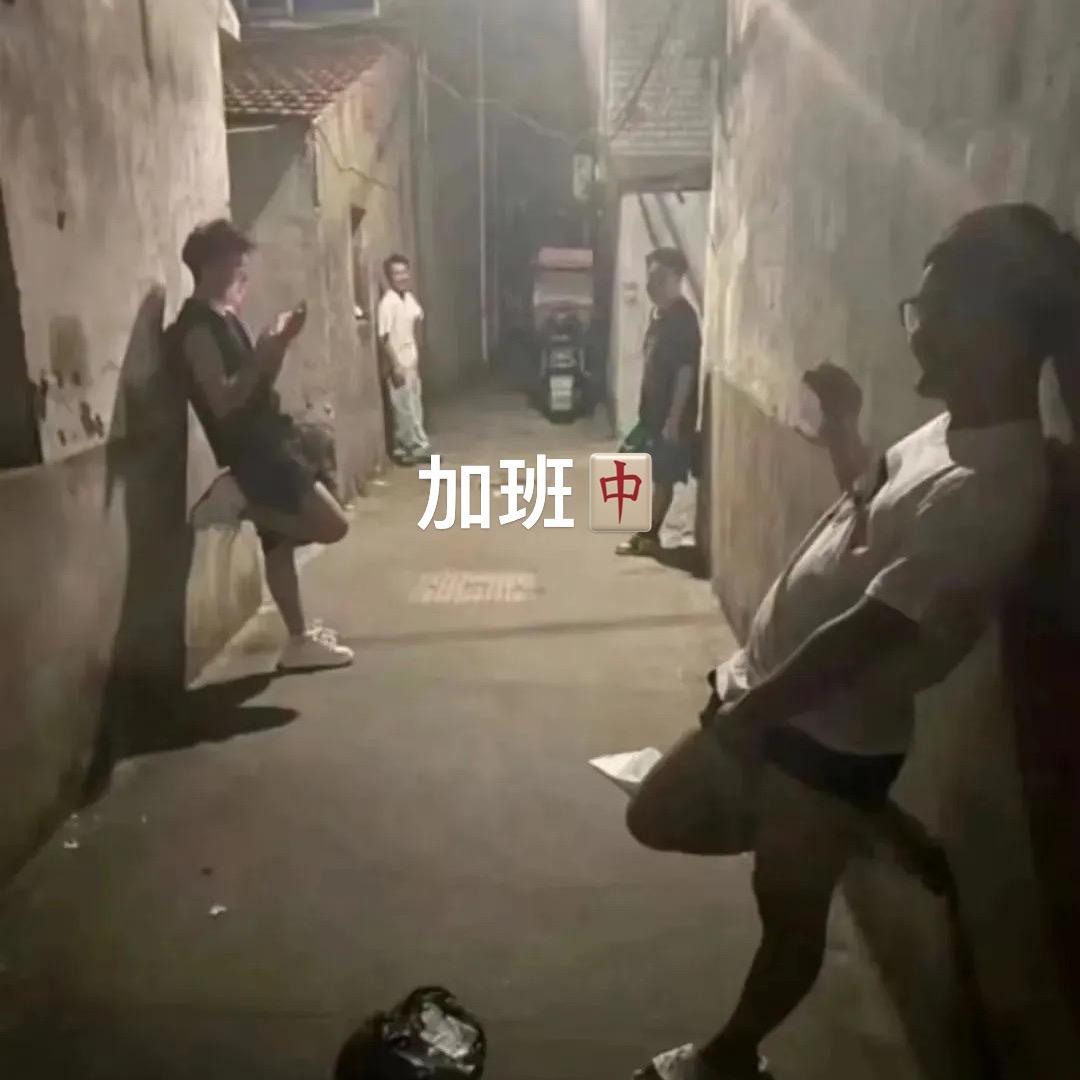 清风.作别（宠物亲子装生产商）