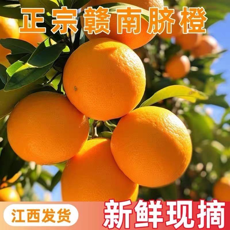 赣南黄泥土安远脐橙