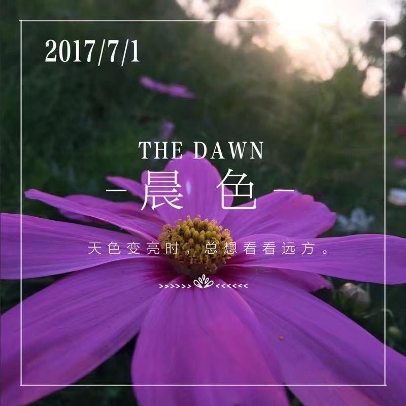 嘉兴红运汽车销售服务有限公司（张姐汽车）