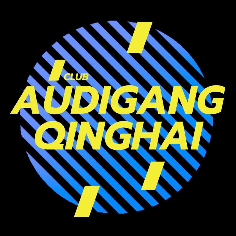 AUDIGANG