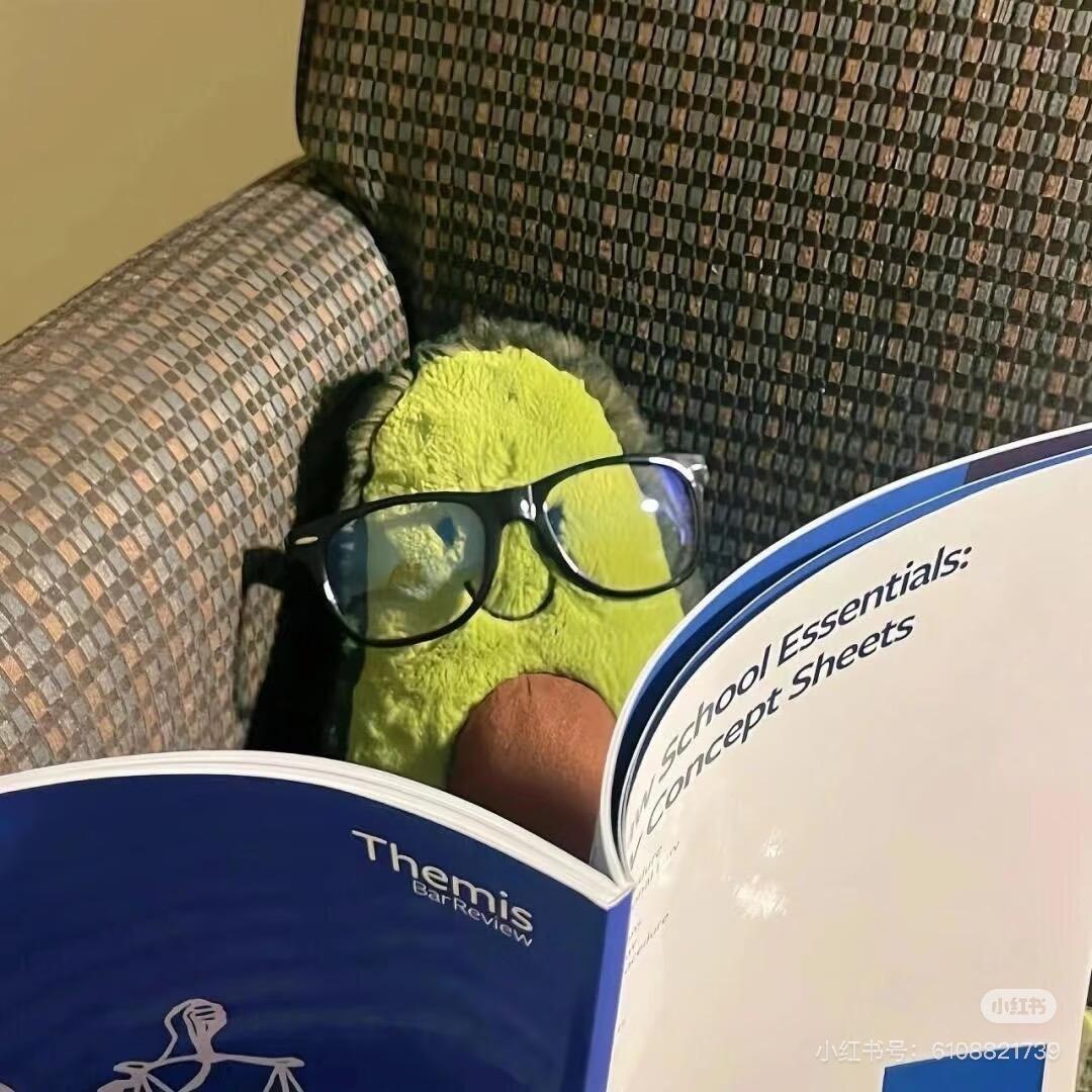 历尽风雨才能遇见彩虹