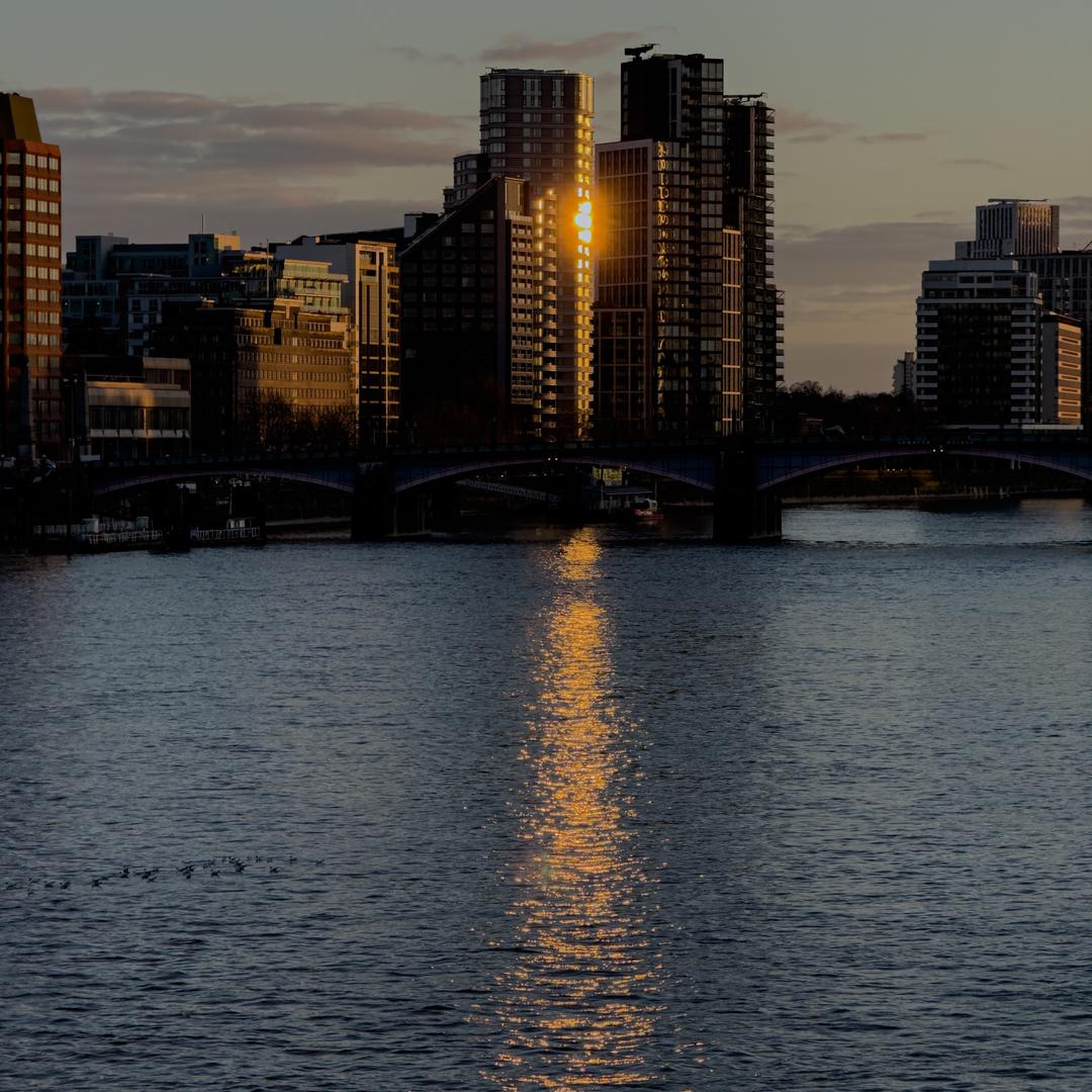 土了个豆（学习画画版）