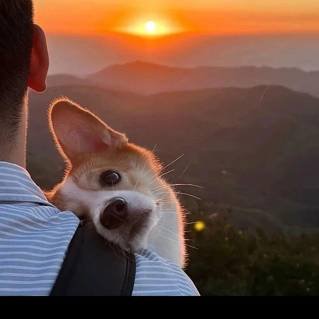 辉辉辉（小鄧）