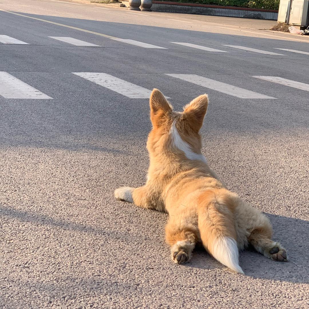 谁还不是个宝宝呢