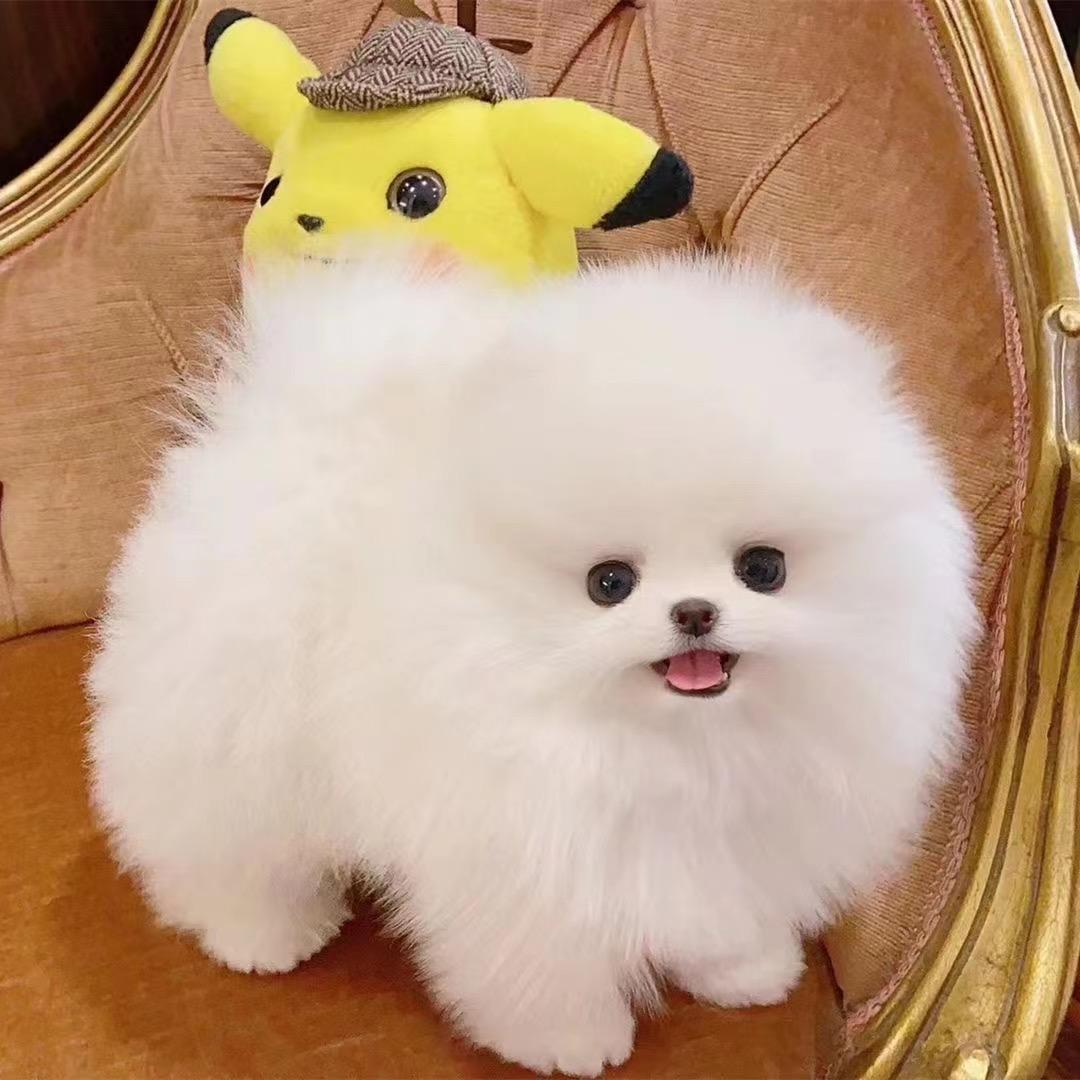 开心就好