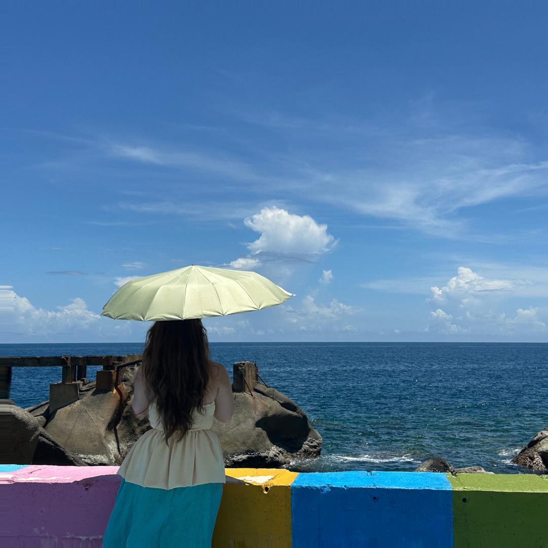 无敌的天才小猪熊陛下