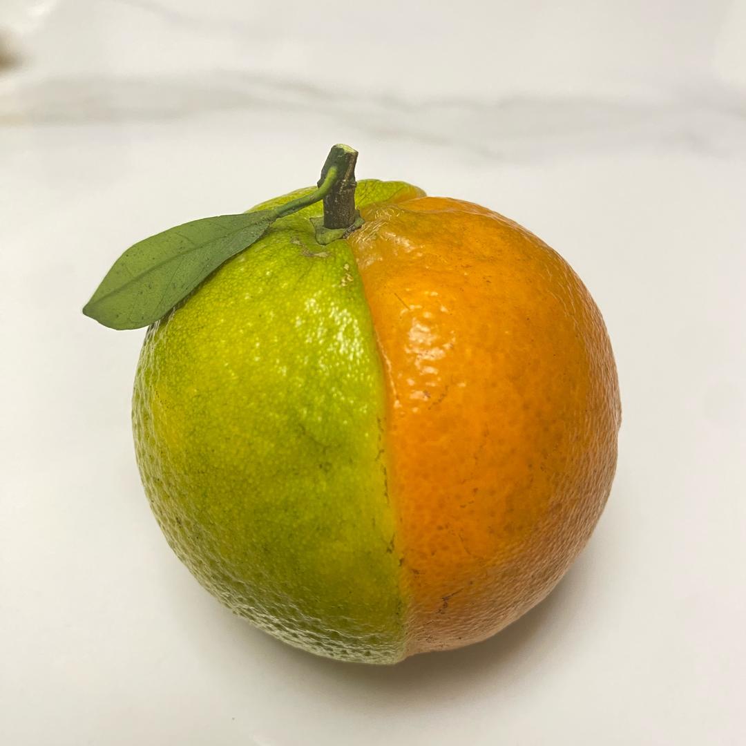 是哈哈