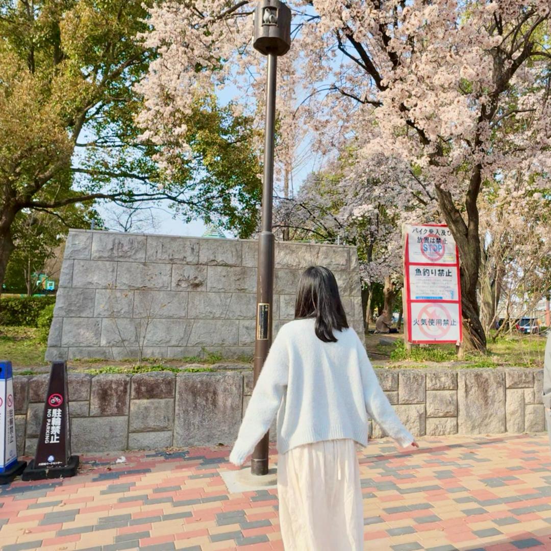 🌸小麦
