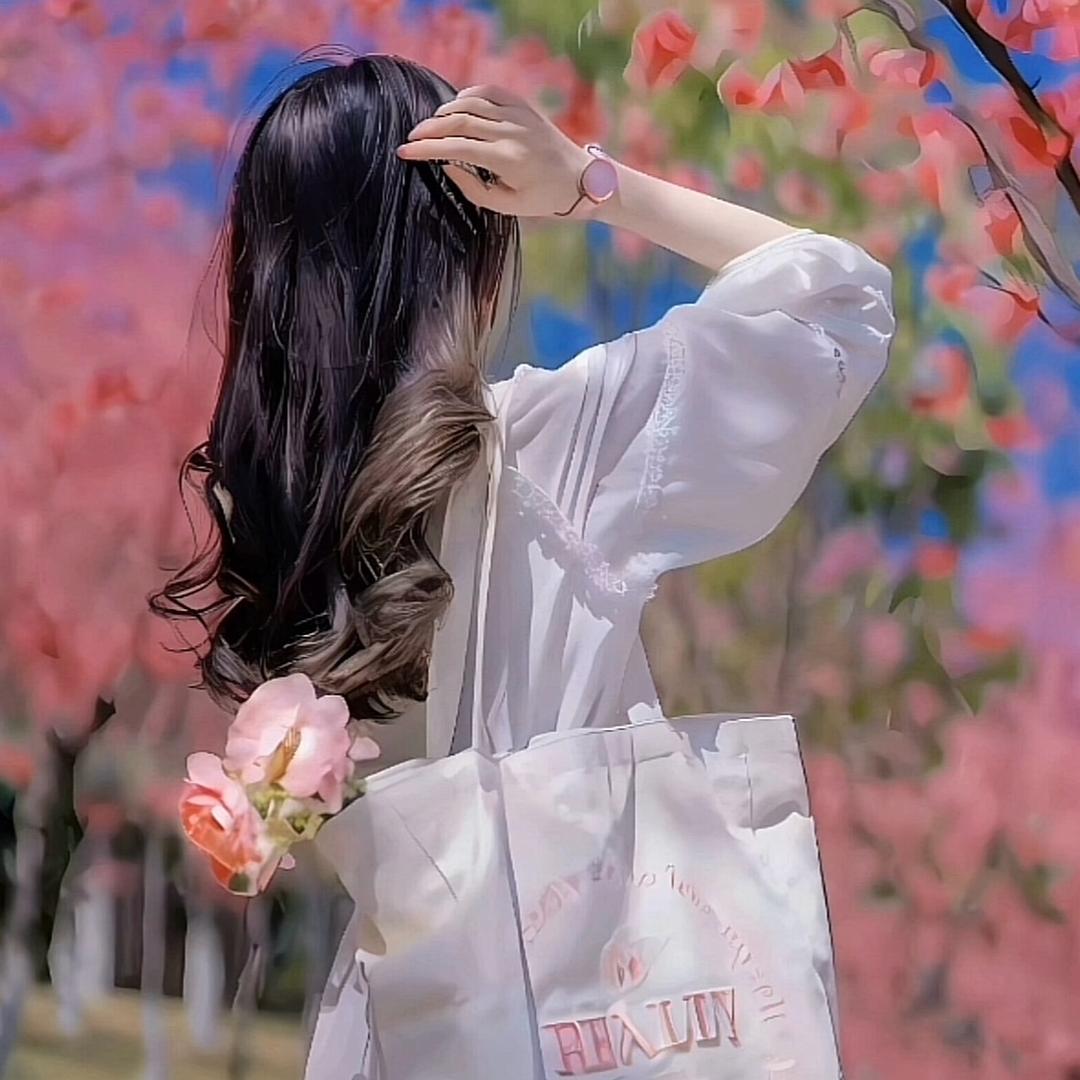 不念过往🍁