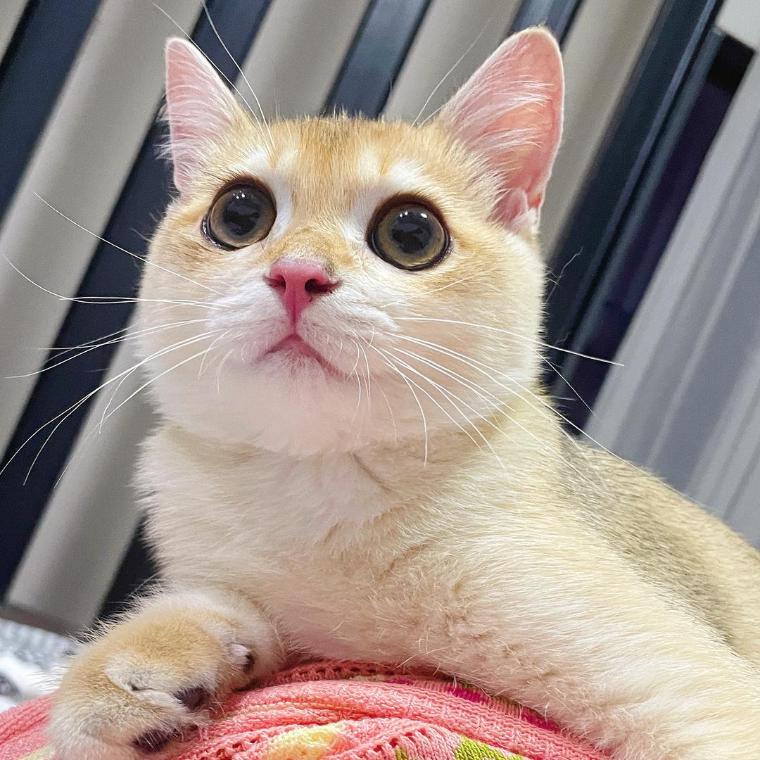 林林柒美甲