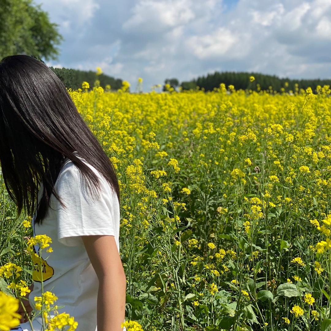 顺鑫电子优品数码