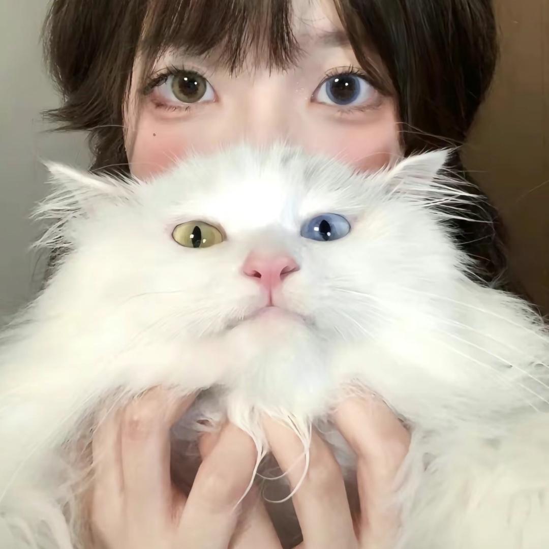小小耳朵朵