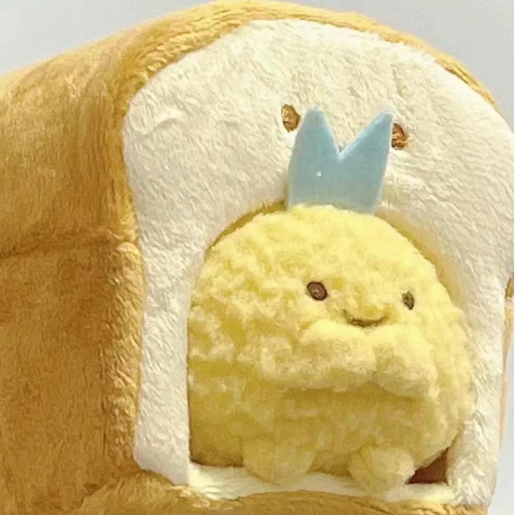 🐰笨笨
