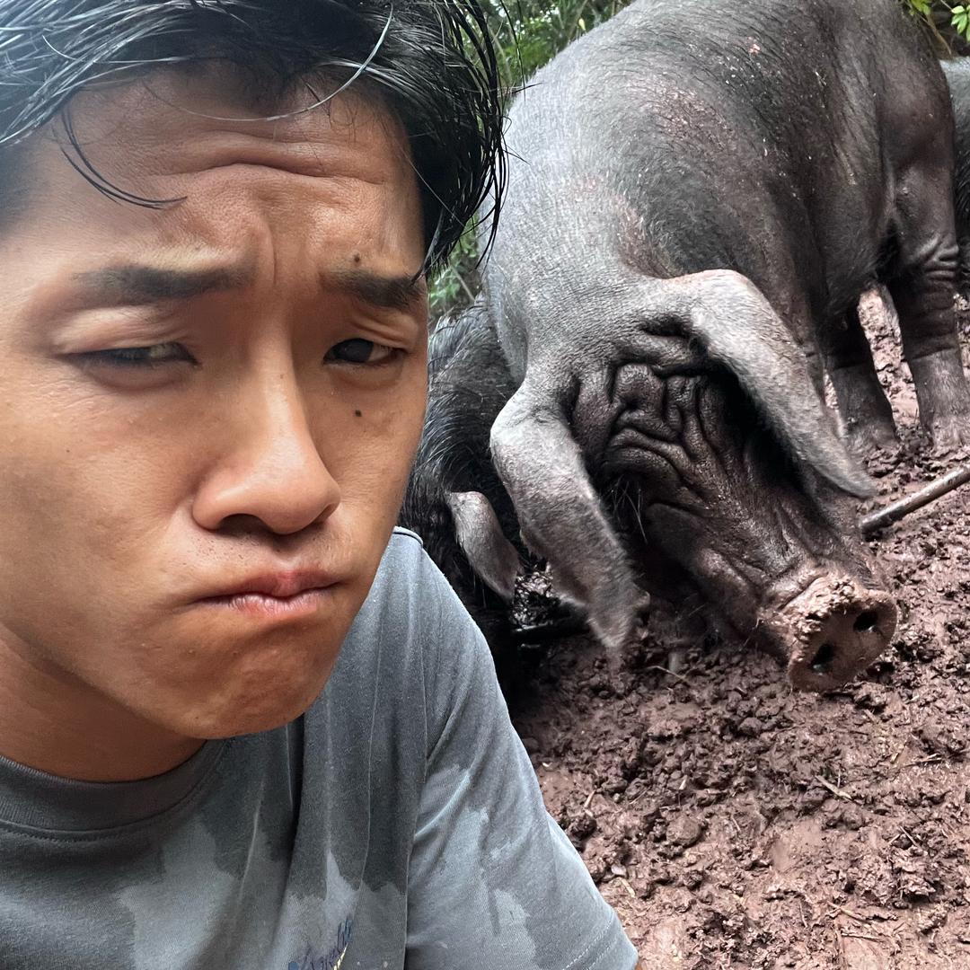 @猪小敏