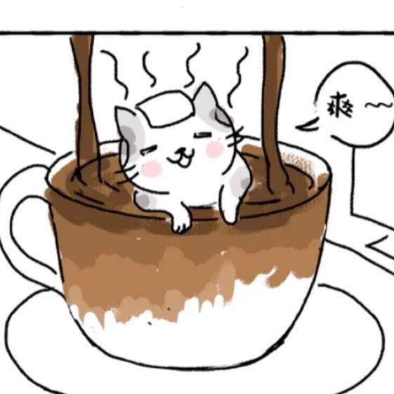 在暴雨中滑雪的猫