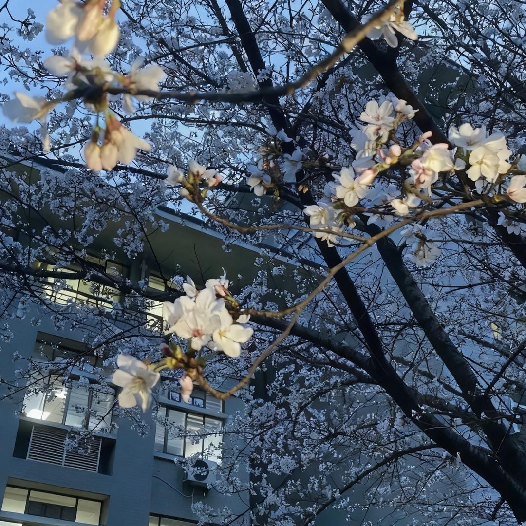 给哦来瓶怡宝