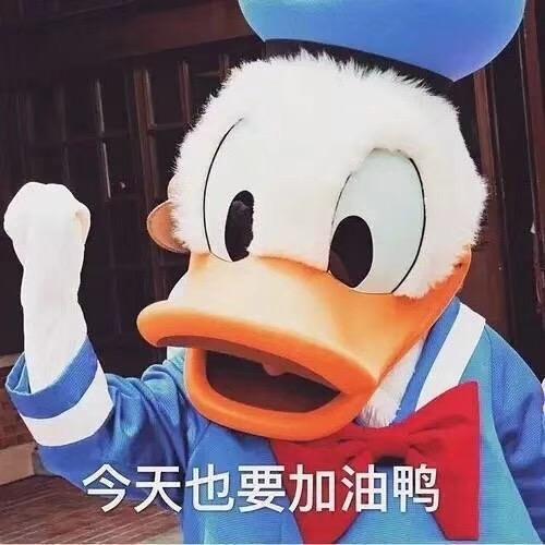 于哈哈