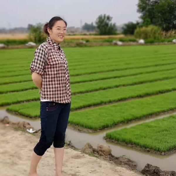 小虎牙