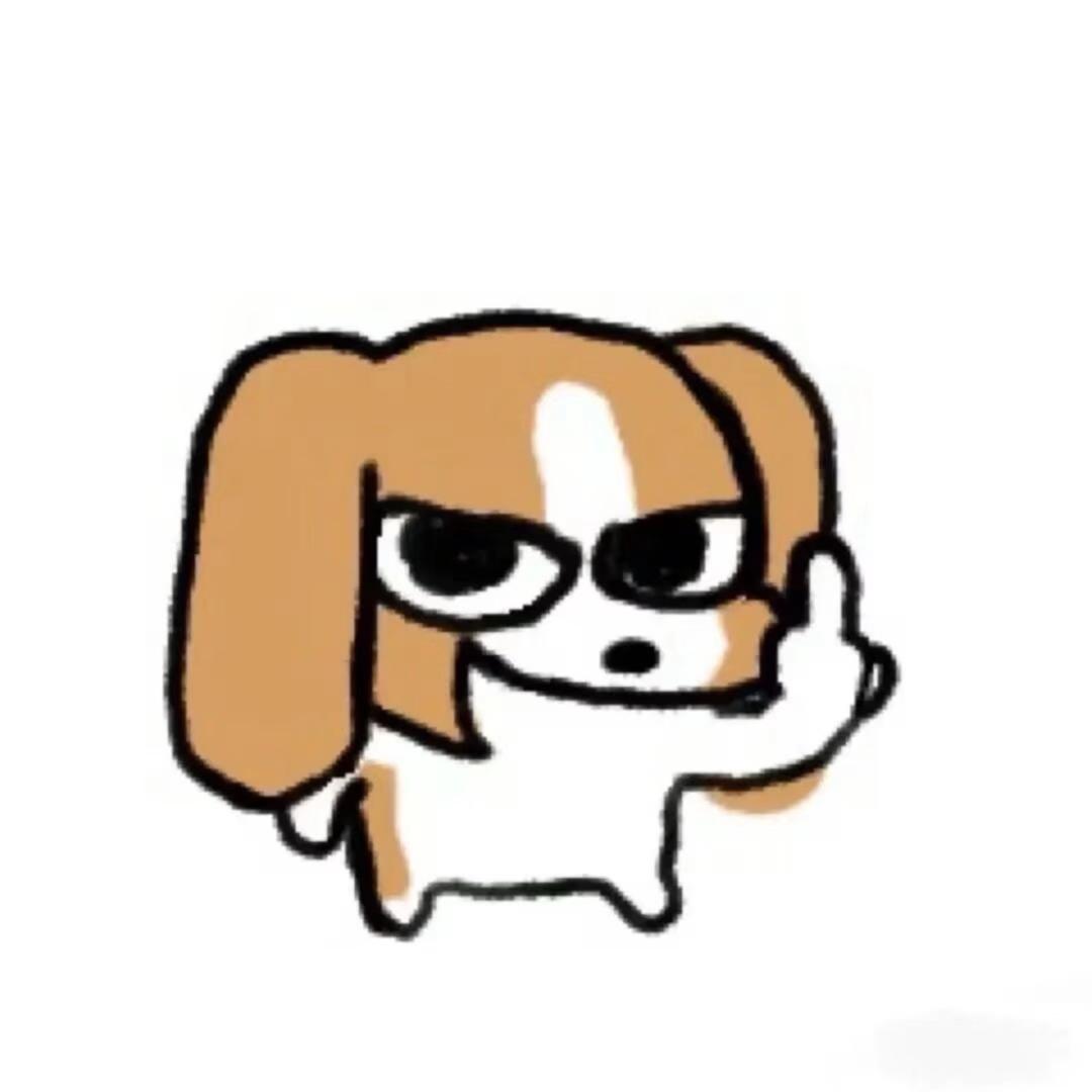 淡淡姐姐最喜欢小锅了