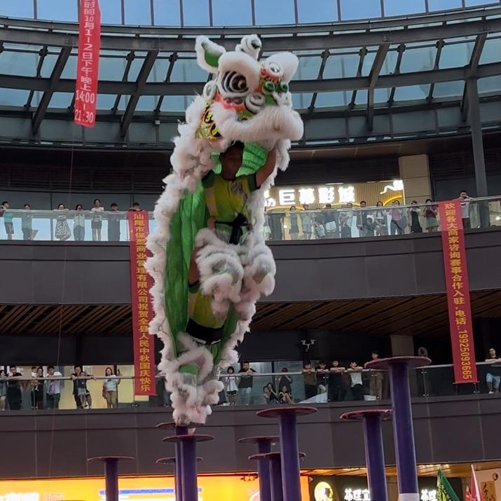 怀集猛仔沙龍獅團