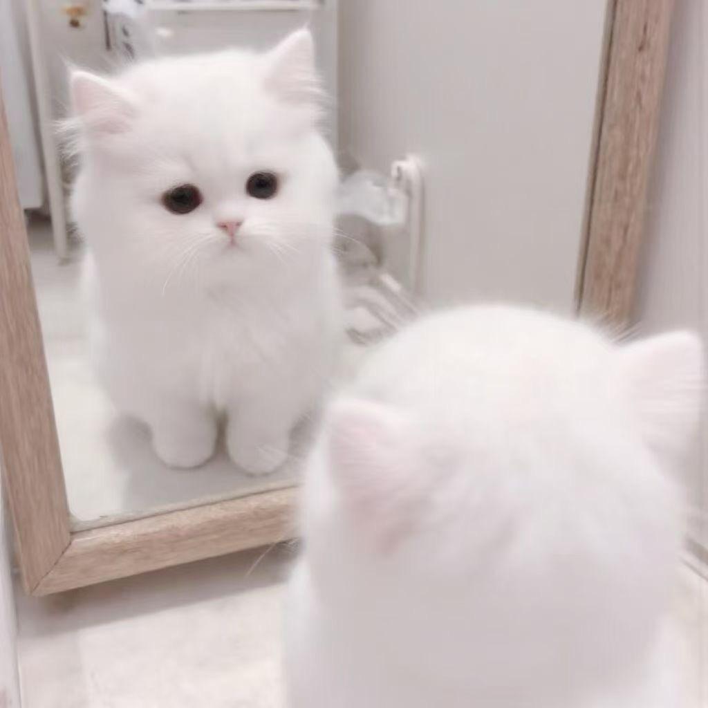 今于