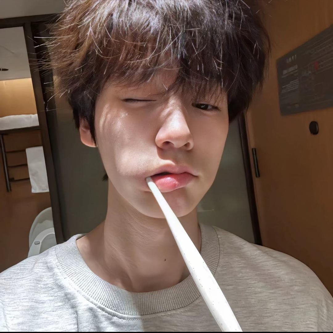 懒觉小狗