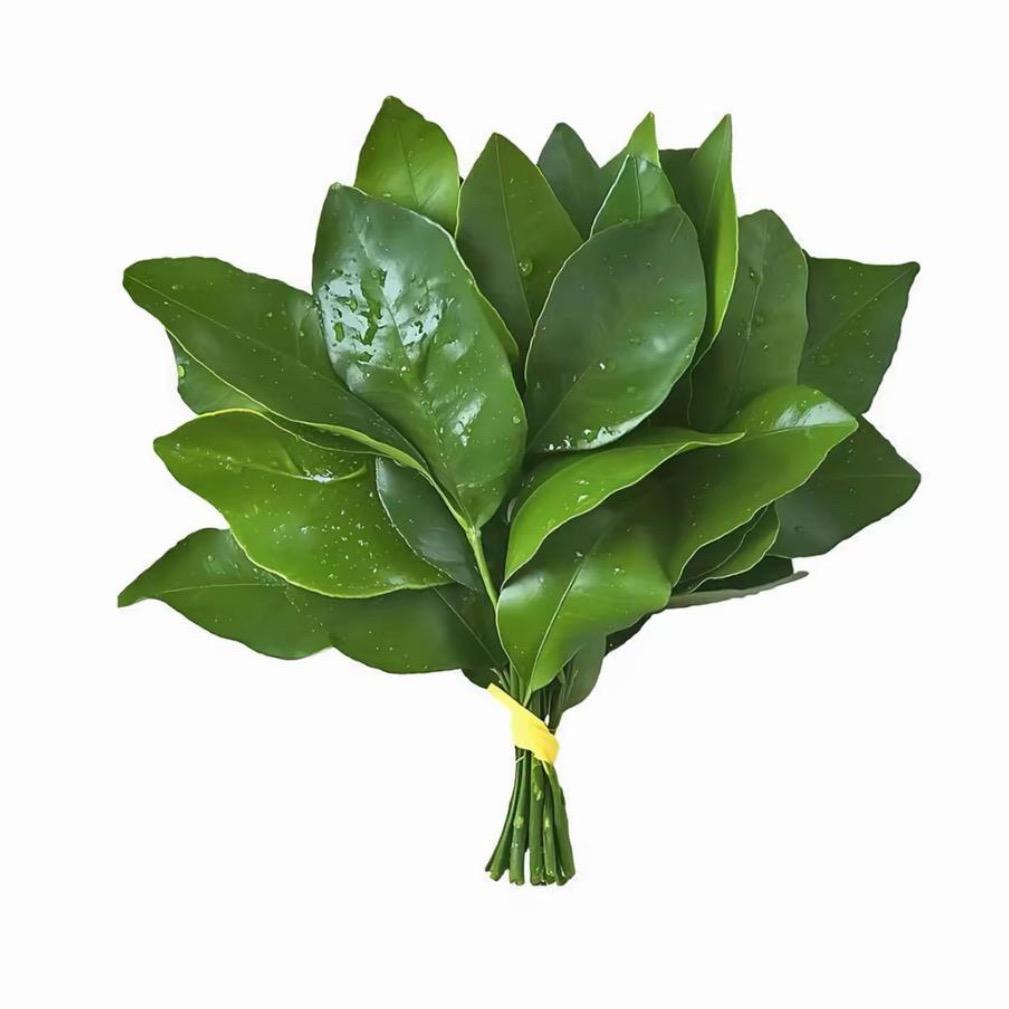 东北大呲花