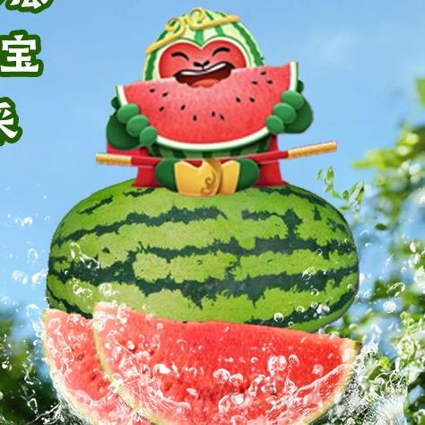 宁夏农品推广