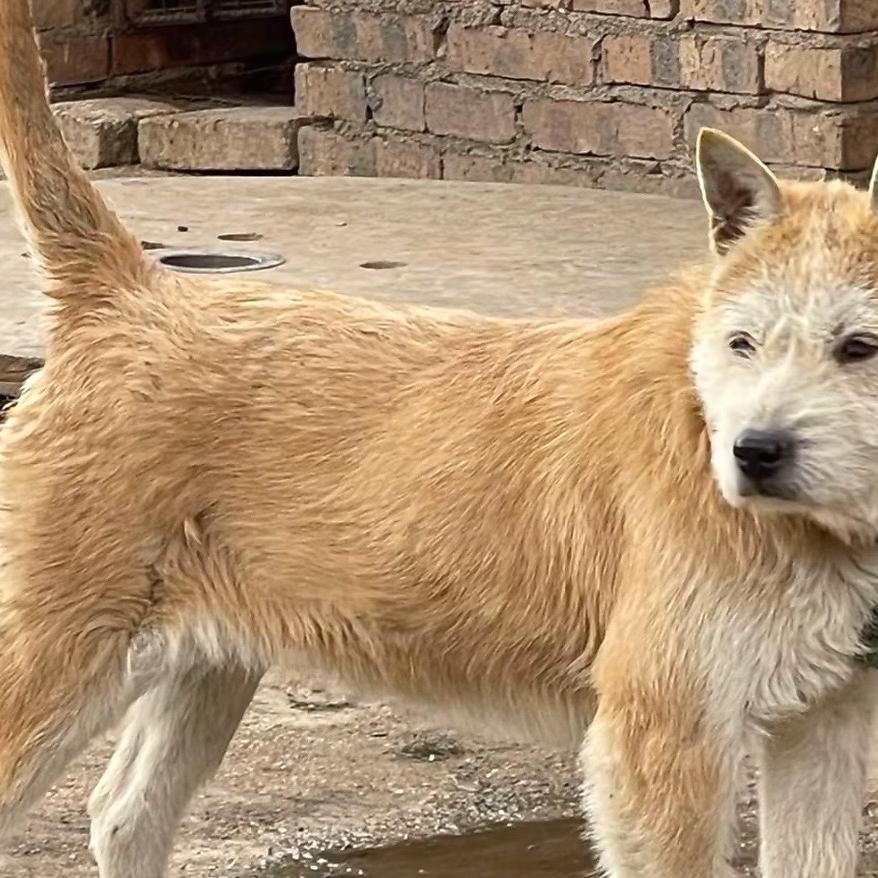 西秀区姜礼平养殖场