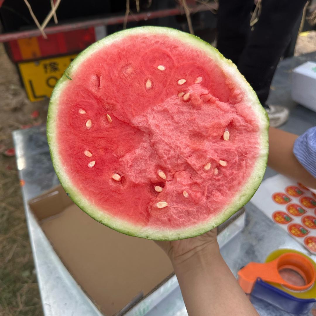 西瓜代收