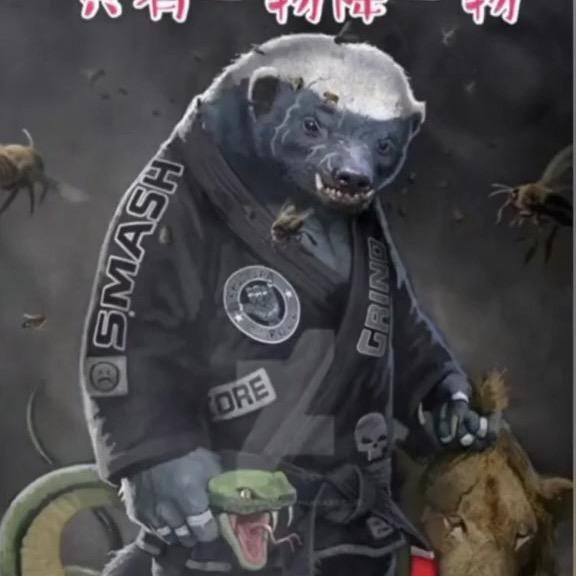 冠军终有陨落时